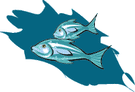 fish5.gif (4100 bytes)