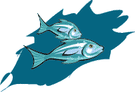 fish51.GIF (4111 bytes)